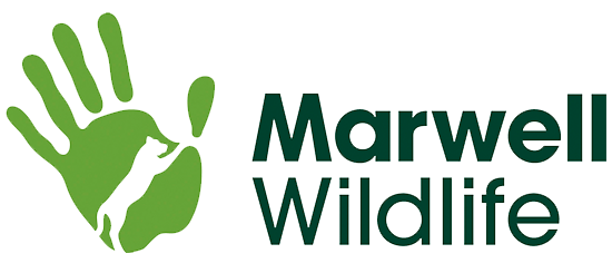 eclipse digital media digital signage marwell wildlife zoo case study logo main