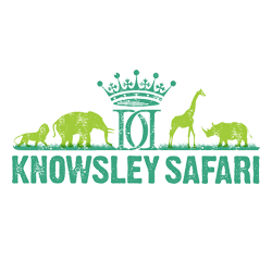 Knowsley Safari